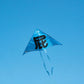 Whimsical Wind: The 'Whoops!' Kite